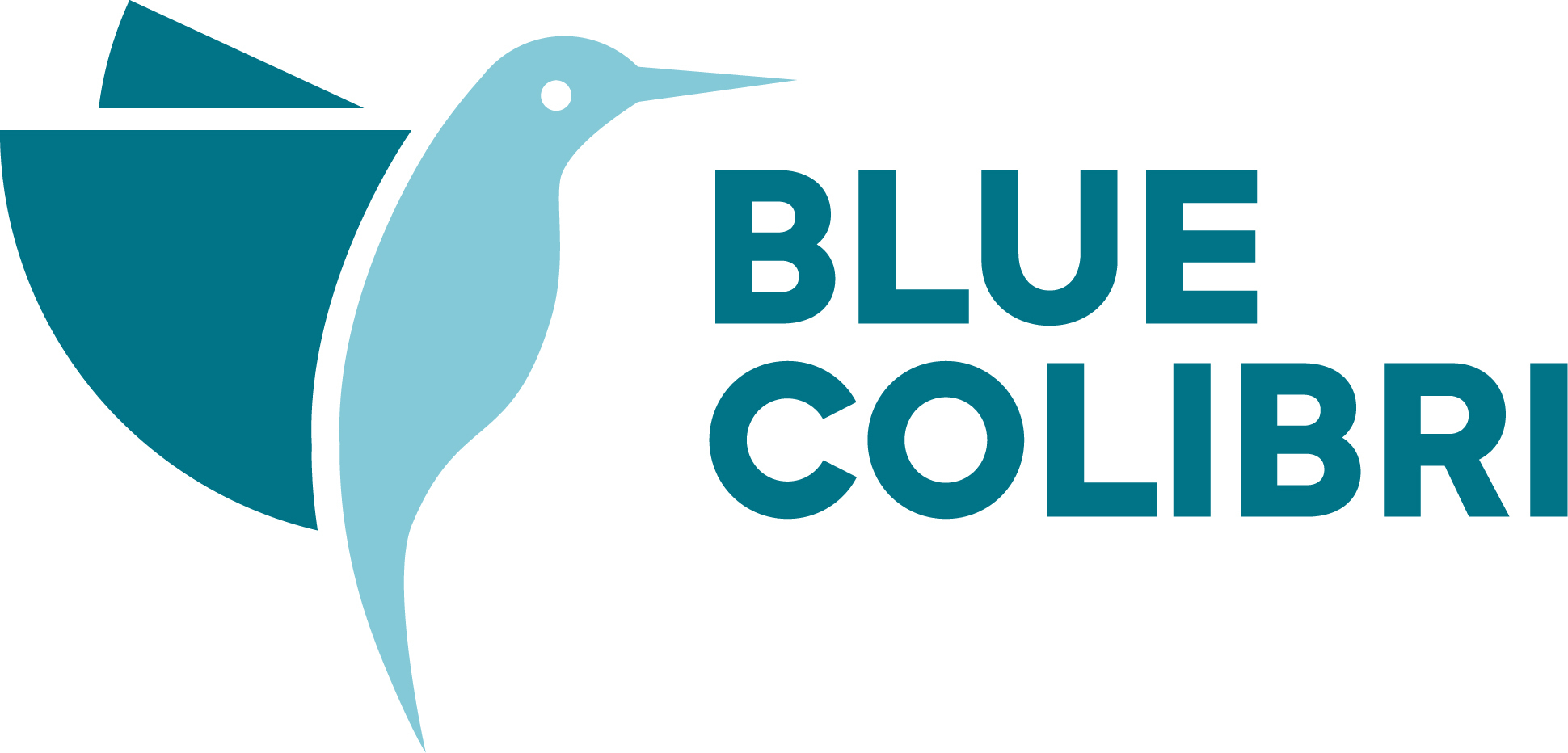 Blue Colibri Employee Platform Logo